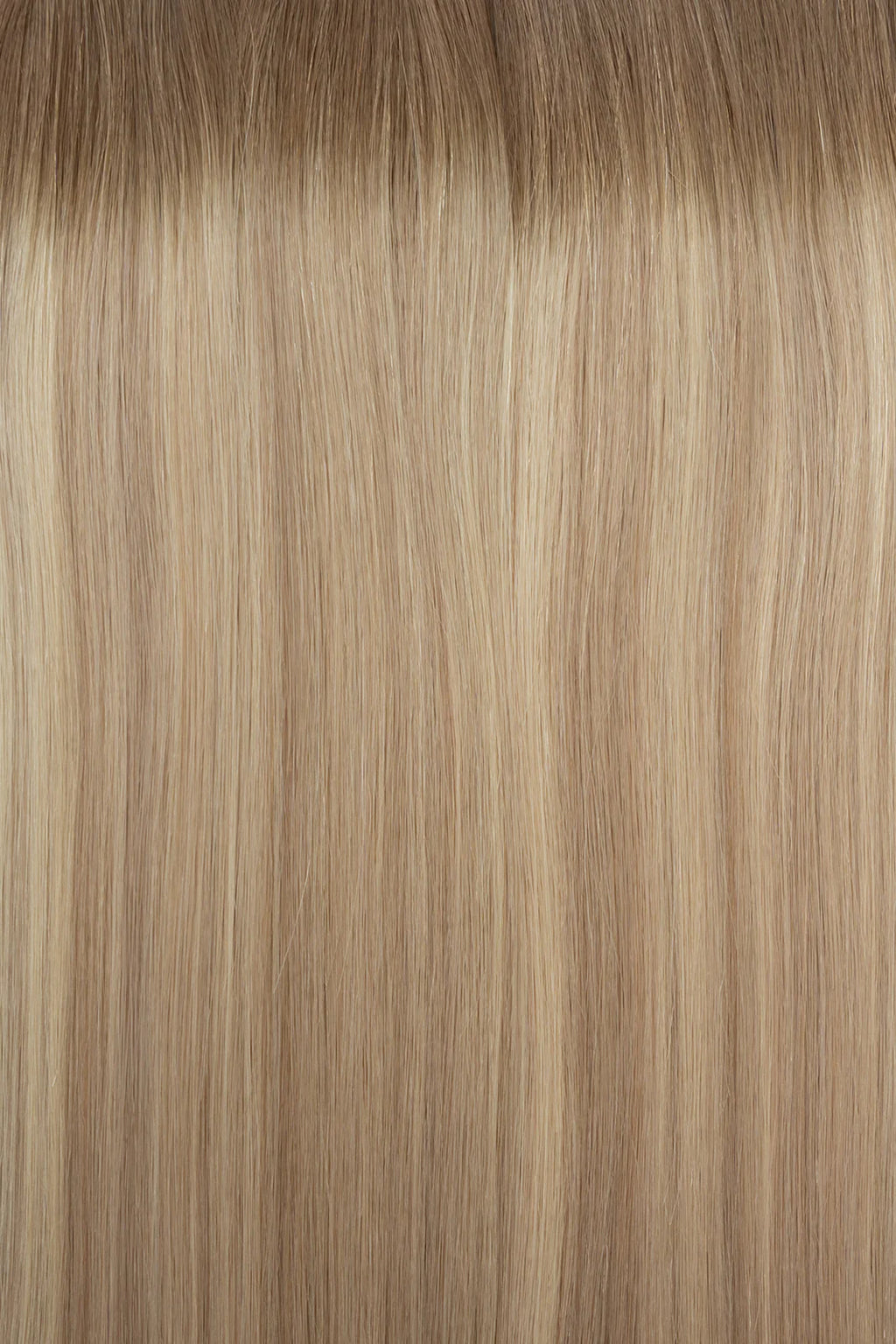 Tape In (Light Ash Brown–Blonde Mix)